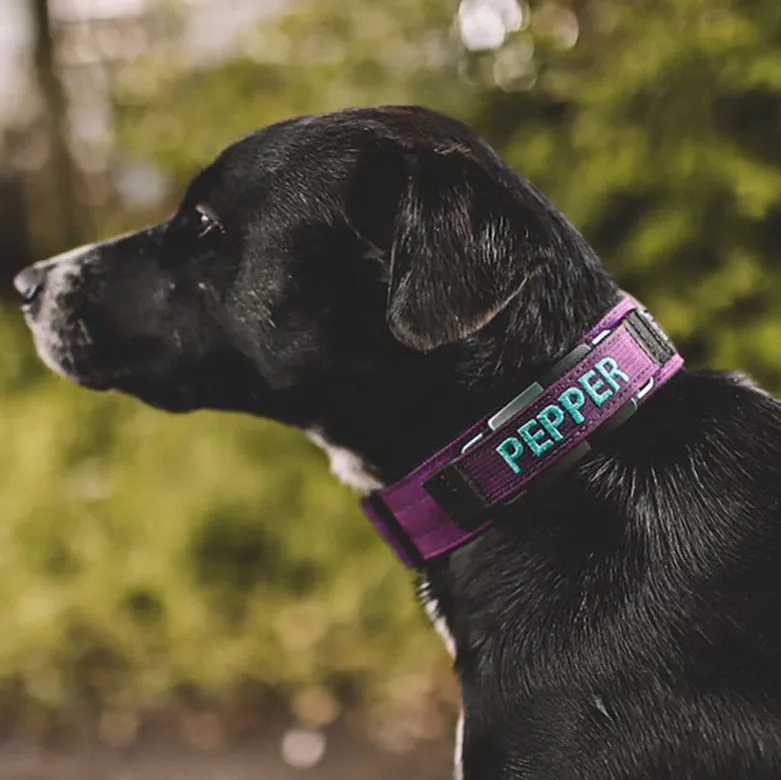 1.5" Extreme Personalized Fi Collar Band (Series 1 &2)