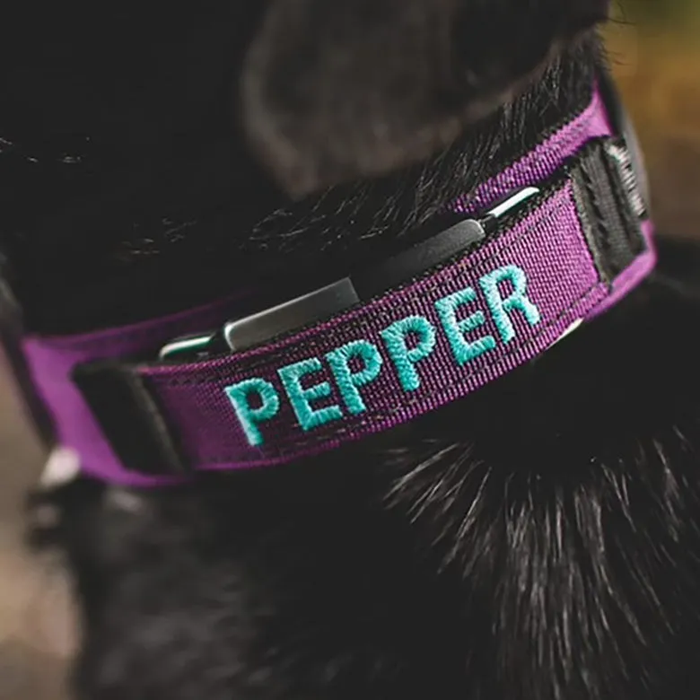 1.5" Extreme Personalized Fi Collar Band (Series 1 &2)