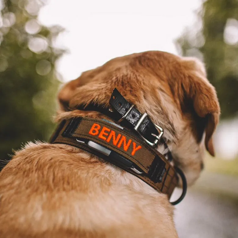 1.5" Extreme Personalized Fi Collar Band (Series 1 &2)