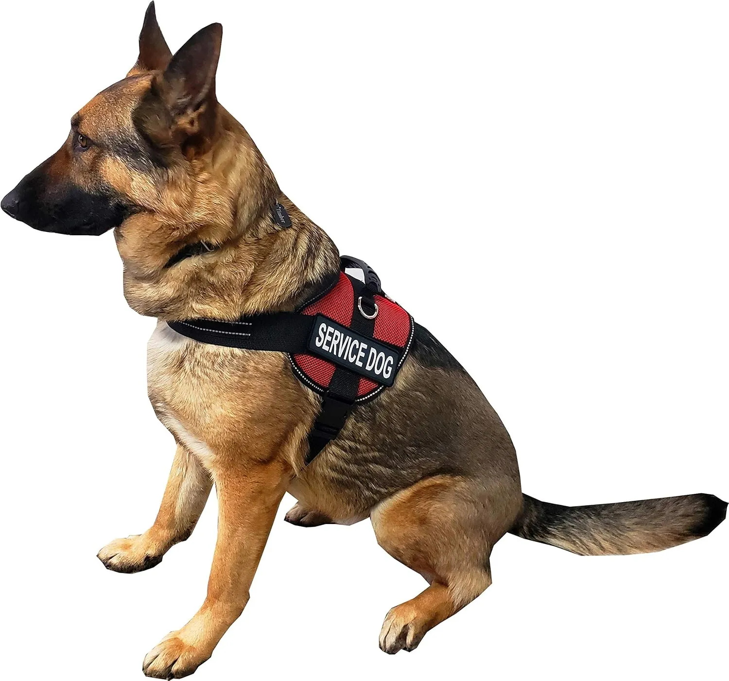 ActiveDogs Service Dog Vest Air-Tech Mesh Harness, Large Girth 25"-35" w/Handle, ADA Cards   Reflective Service Dog Patches - Red