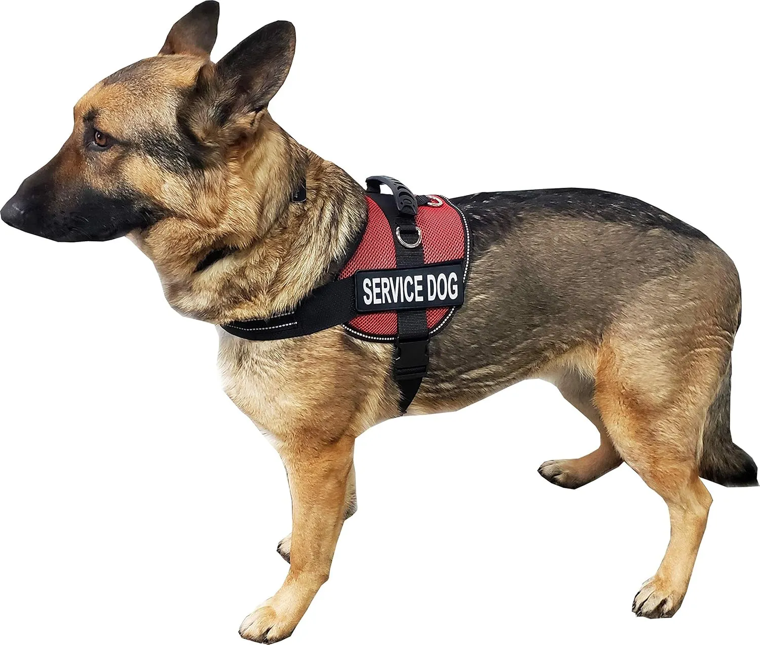 ActiveDogs Service Dog Vest Air-Tech Mesh Harness, Large Girth 25"-35" w/Handle, ADA Cards   Reflective Service Dog Patches - Red