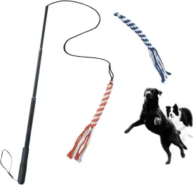 ASOCEA Dog Extendable Teaser Wand Pet Flirt Stick Pole Puppy Chasing Tail Interactive Toy for Small Medium Large Dogs Training Playing Exercise