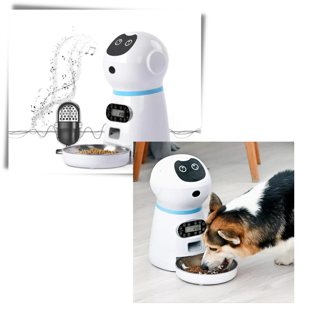 Automatic Pet Food Dispenser