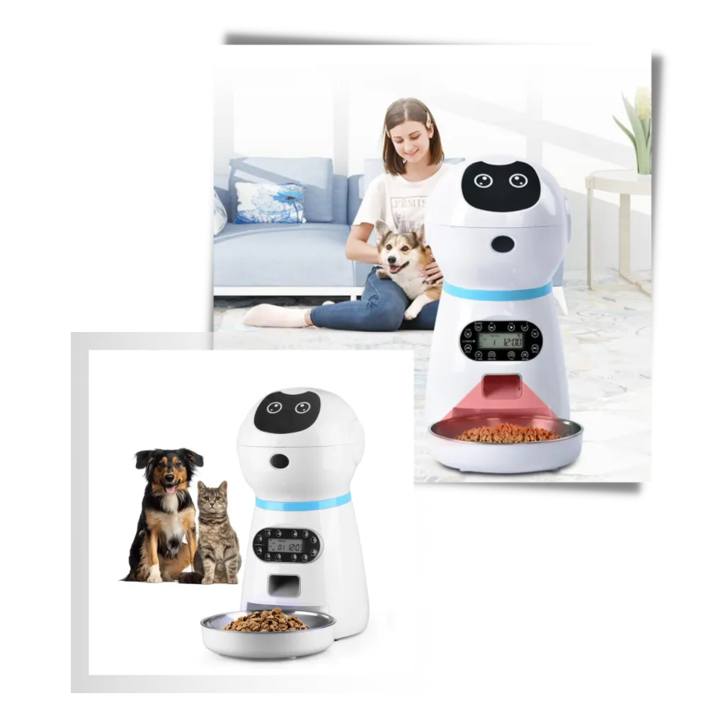 Automatic Pet Food Dispenser