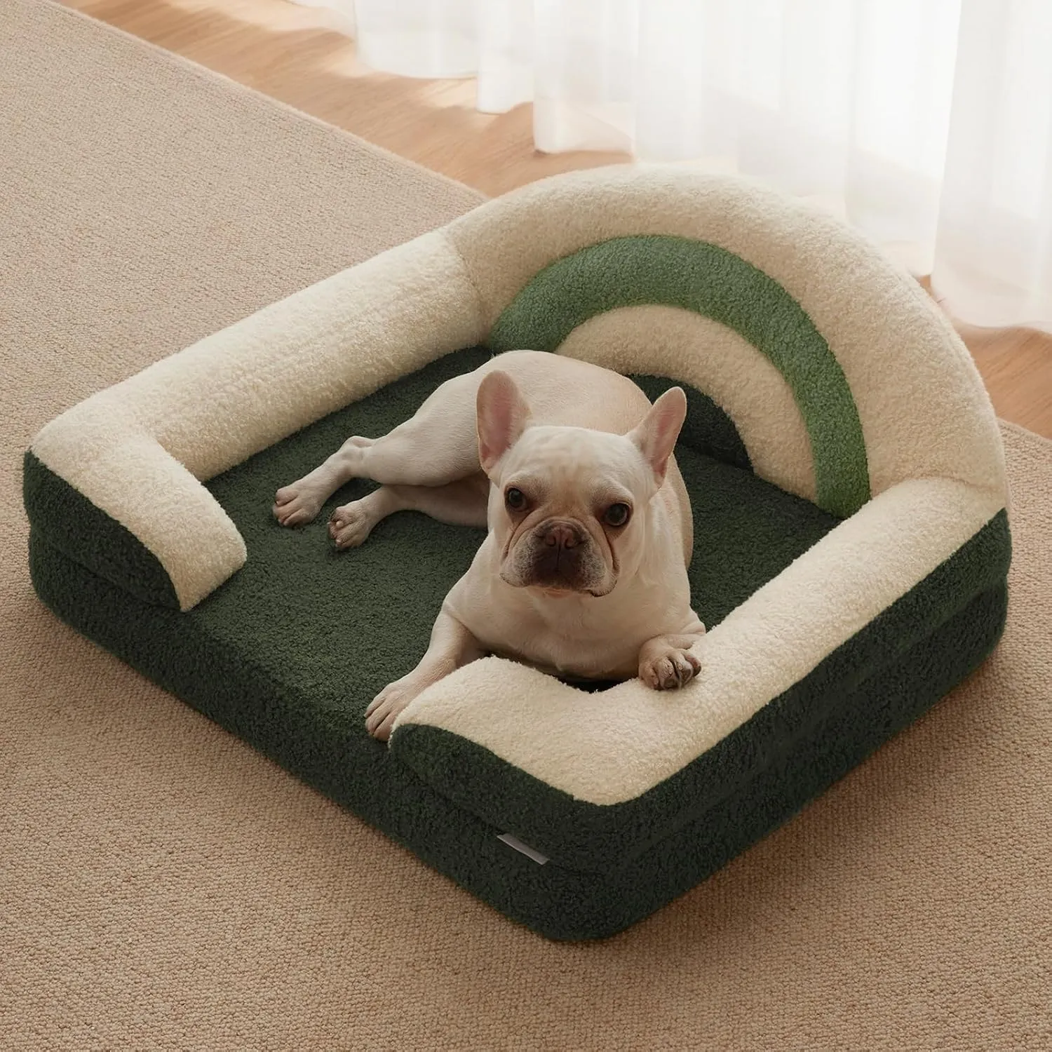 Blissful Diary Foam Dog Bed Medium Size, Pet Sofa with Washable Cover and Waterproof Liner, Soft Teddy Plush with Rainbow Design (Green)