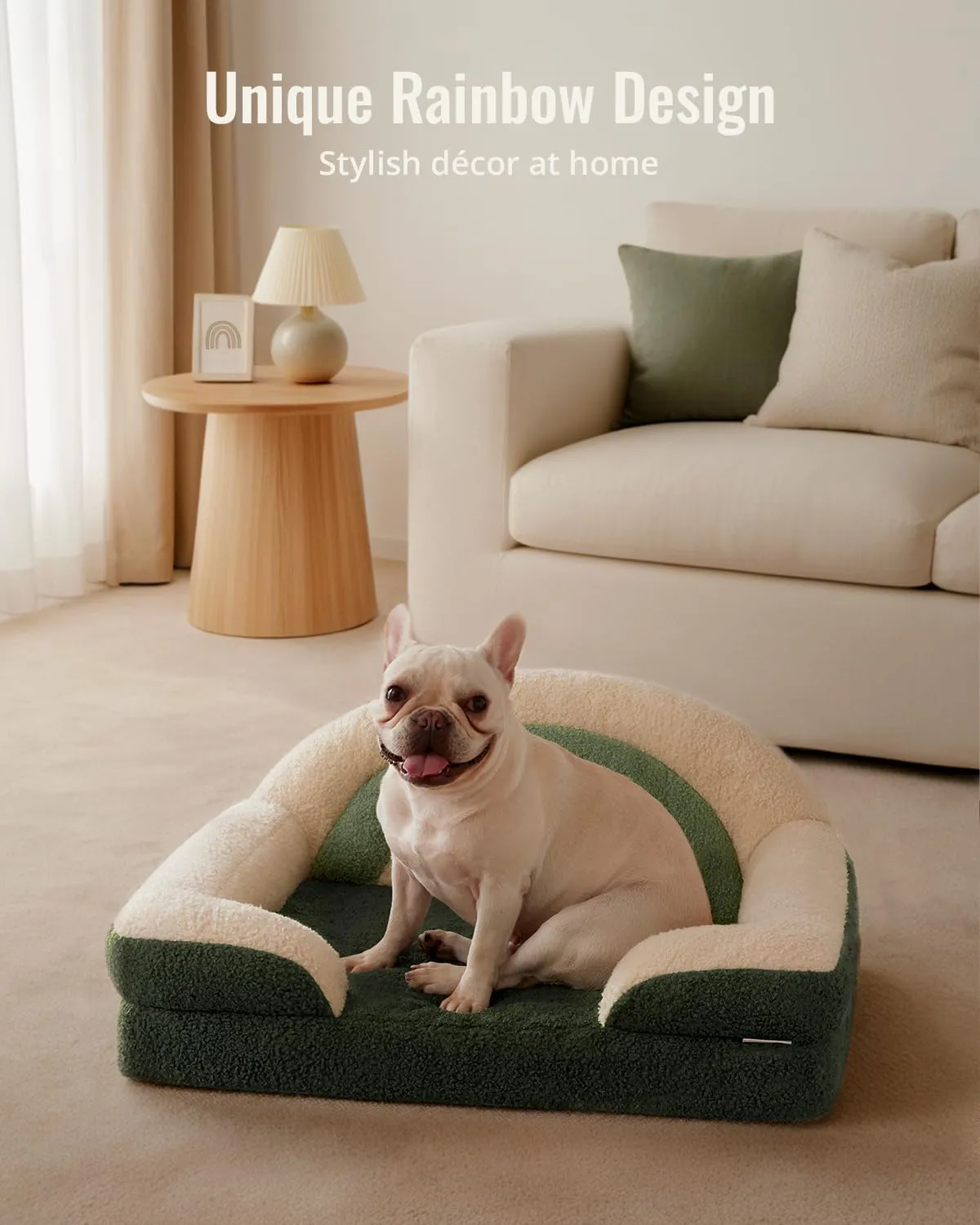 Blissful Diary Foam Dog Bed Medium Size, Pet Sofa with Washable Cover and Waterproof Liner, Soft Teddy Plush with Rainbow Design (Green)