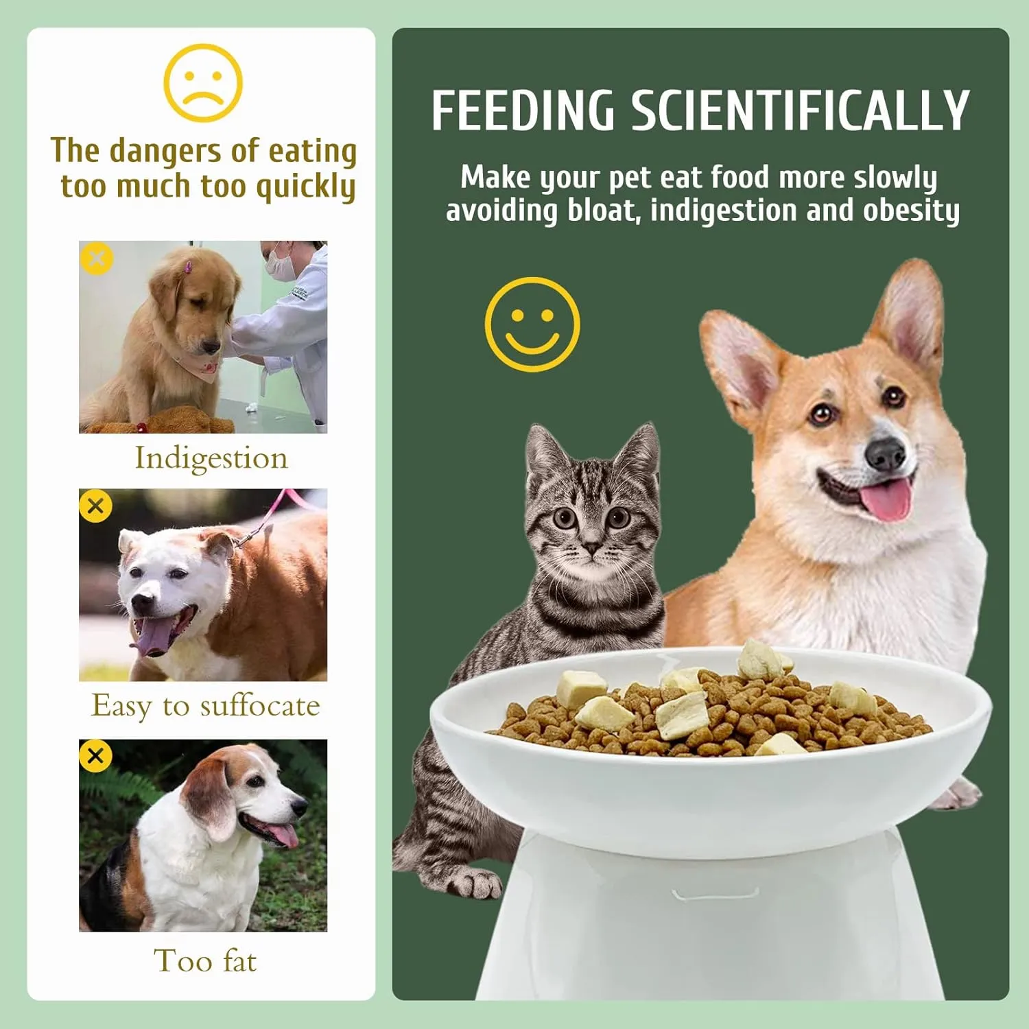 BNOSDM Raised Cat Slow Feeder Bowl Elevated Shallow Cat Dish Whisker Fatigue Slow Eating Bowls Cute Wet Food Puzzle Bowls for Indoor Small Cats Kitten