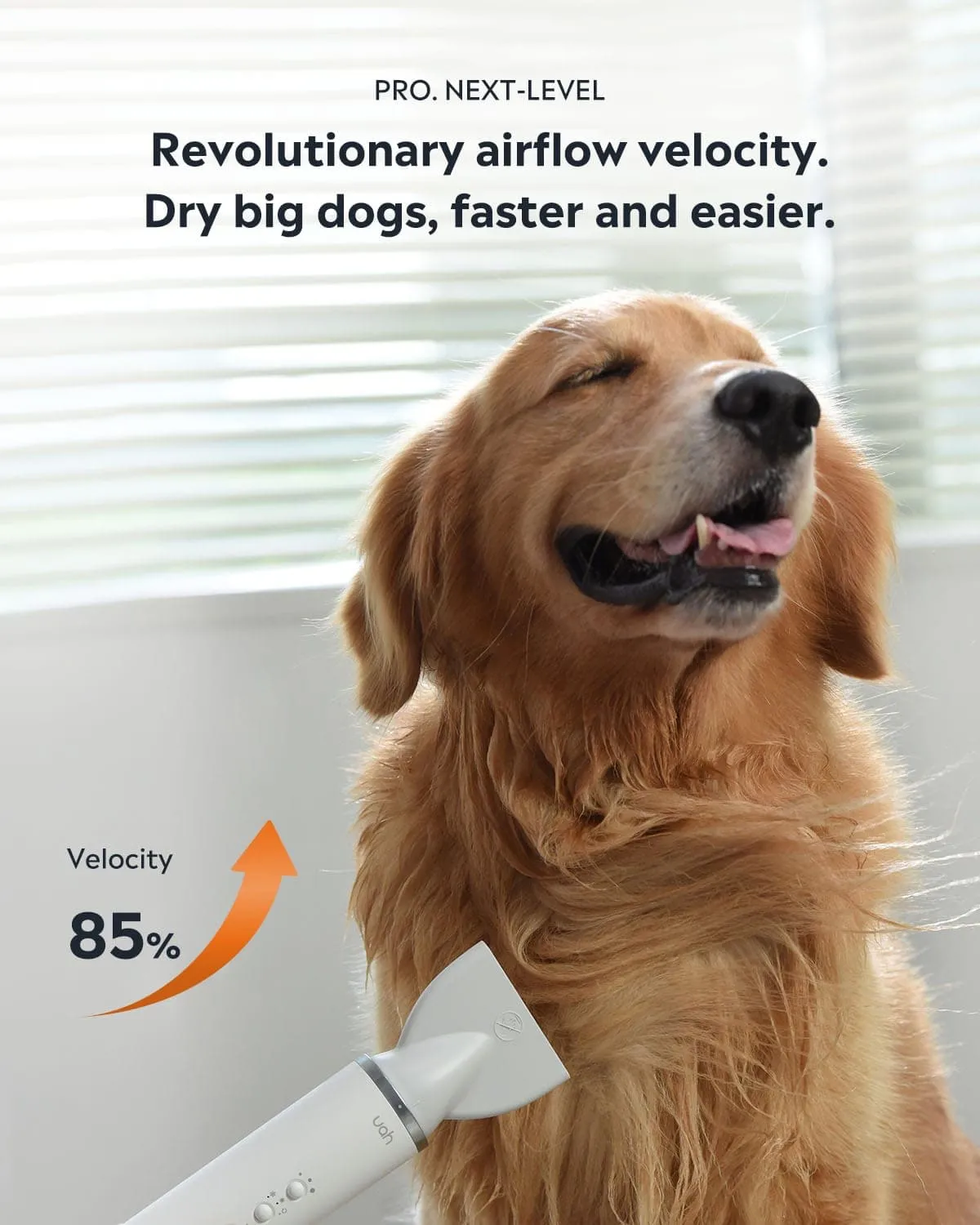 [BOGO] Fluffy-1 Pro Low Noise Dog Hair Dryer & Free Smart Deodorizer