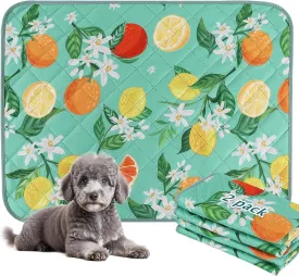 BVAGSS Washable Pee Pads for Dogs, 2 Pack Reusable Leakproof Puppy Wee Wee Pad, Non-Slip Waterproof Pet Training Pads, Super Absorbent Whelping Pads XH081 (Green Lemon, 24X24 Inch (Pack of 2))