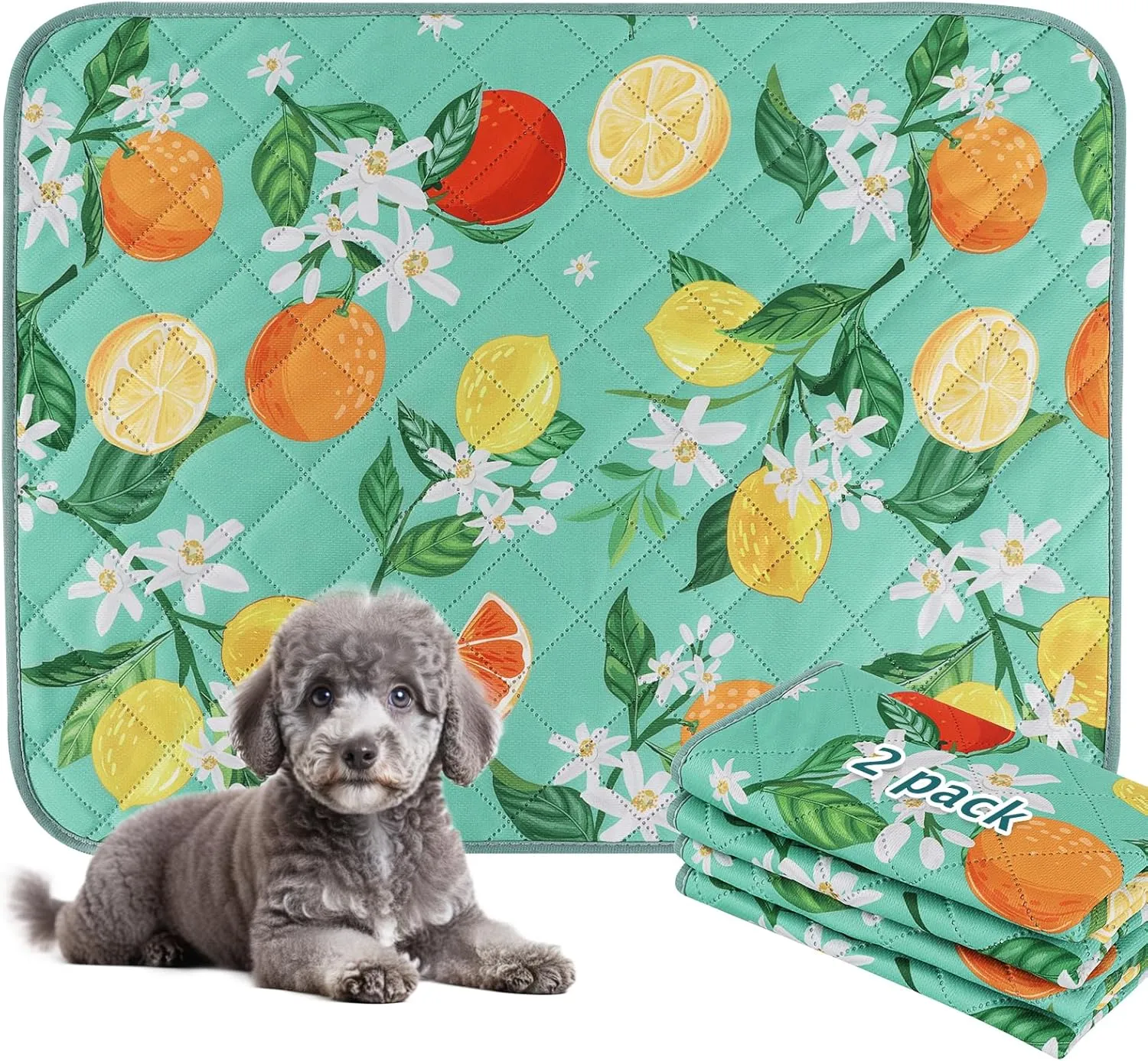 BVAGSS Washable Pee Pads for Dogs, 2 Pack Reusable Leakproof Puppy Wee Wee Pad, Non-Slip Waterproof Pet Training Pads, Super Absorbent Whelping Pads XH081 (Green Lemon, 24X24 Inch (Pack of 2))