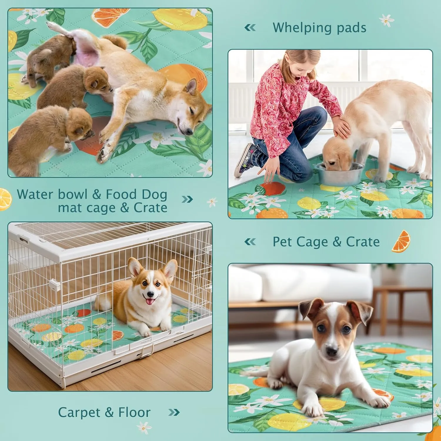 BVAGSS Washable Pee Pads for Dogs, 2 Pack Reusable Leakproof Puppy Wee Wee Pad, Non-Slip Waterproof Pet Training Pads, Super Absorbent Whelping Pads XH081 (Green Lemon, 24X24 Inch (Pack of 2))