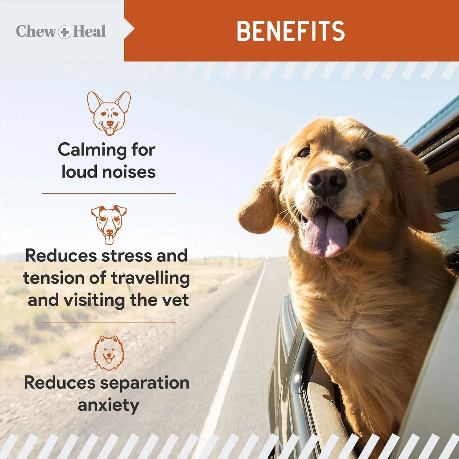 Calming Chews for Dogs - 60 Anxiety Relief Treats for Fireworks, Thunder, and Storms - Natural Dog Calming Treats for Large and Small Breeds with Thiamine, L-Tryptophan, Ginger, and Melatonin