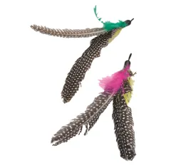 Coastal Turbo Replacement Feathers