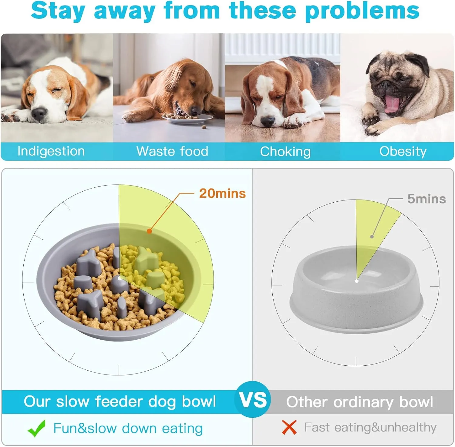Dog Bowls Double Dog Water and Food Bowls Stainless Steel Bowls with Non-Slip Resin Station, Pet Feeder Bowls for Puppy Medium Dogs Cats