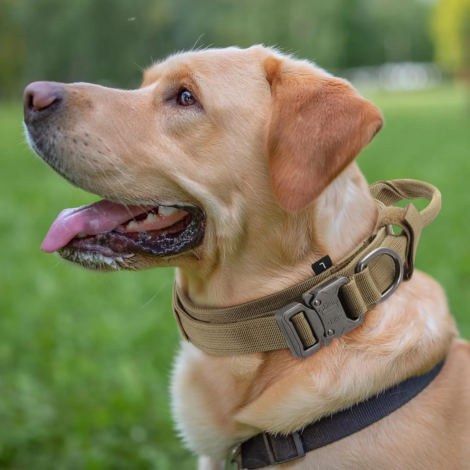Dog Collar for Large Dogs, Adjustable Heavy Duty Collar with Handle, Tactical Design for Training and Outdoor Use, Large, Brown