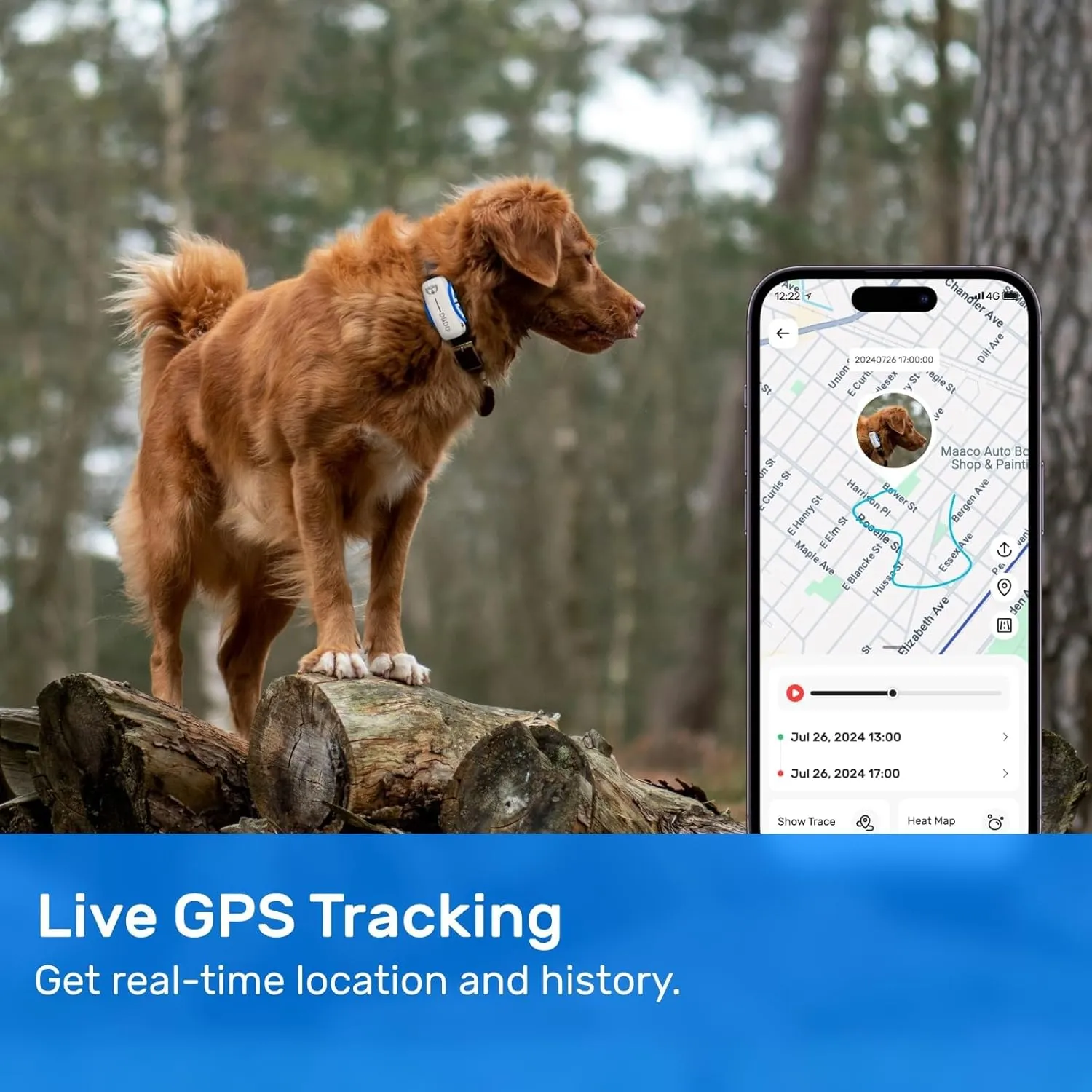 Dog GPS Tracker, Smart Waterproof Tracker with Real-Time Location, Escape Alerts, Activity Monitor, iOS & Android Compatible, for Dogs 40 lbs  (White)