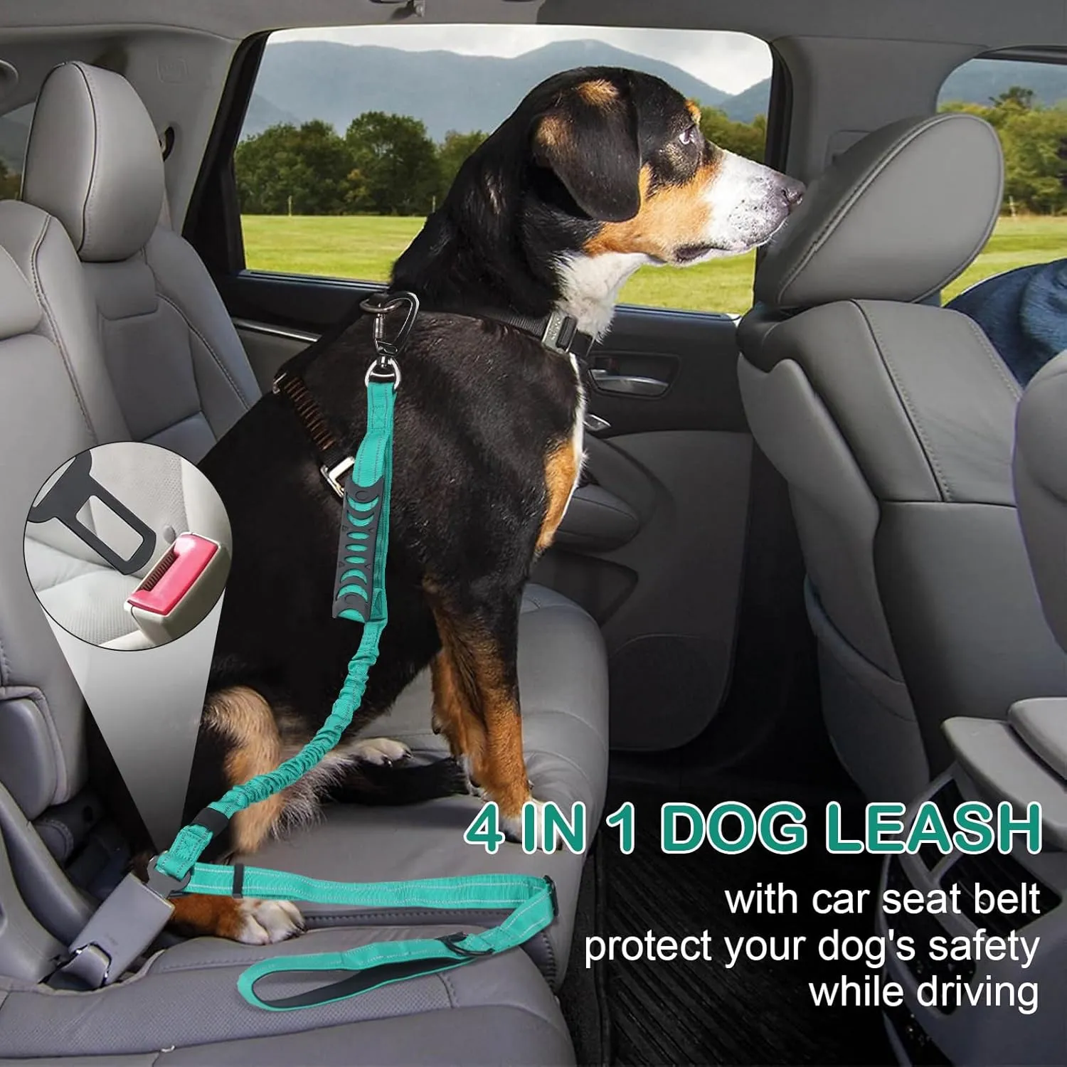 Dog Leash for Medium Large Dogs Heavy Duty 2 Pack, 4-6FT Reflective Tactical Dog Leash Shock Absorbing No Pull Bungee Lead with 2 Padded Handle Car Seatbelt Metal Carabiner Clip, Black Teal