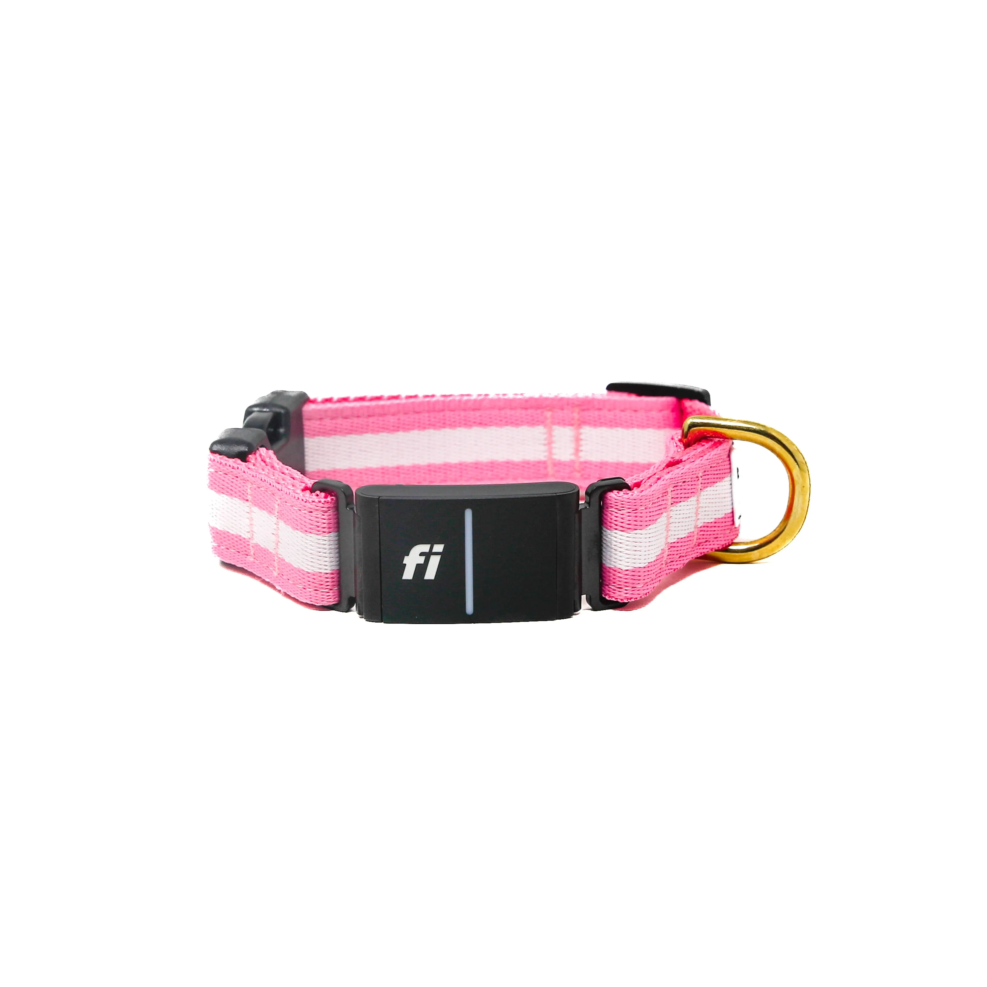 Fi Collar Band - Bubble Gum