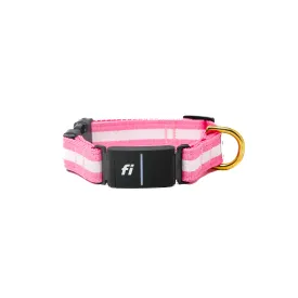 Fi Collar Band - Bubble Gum