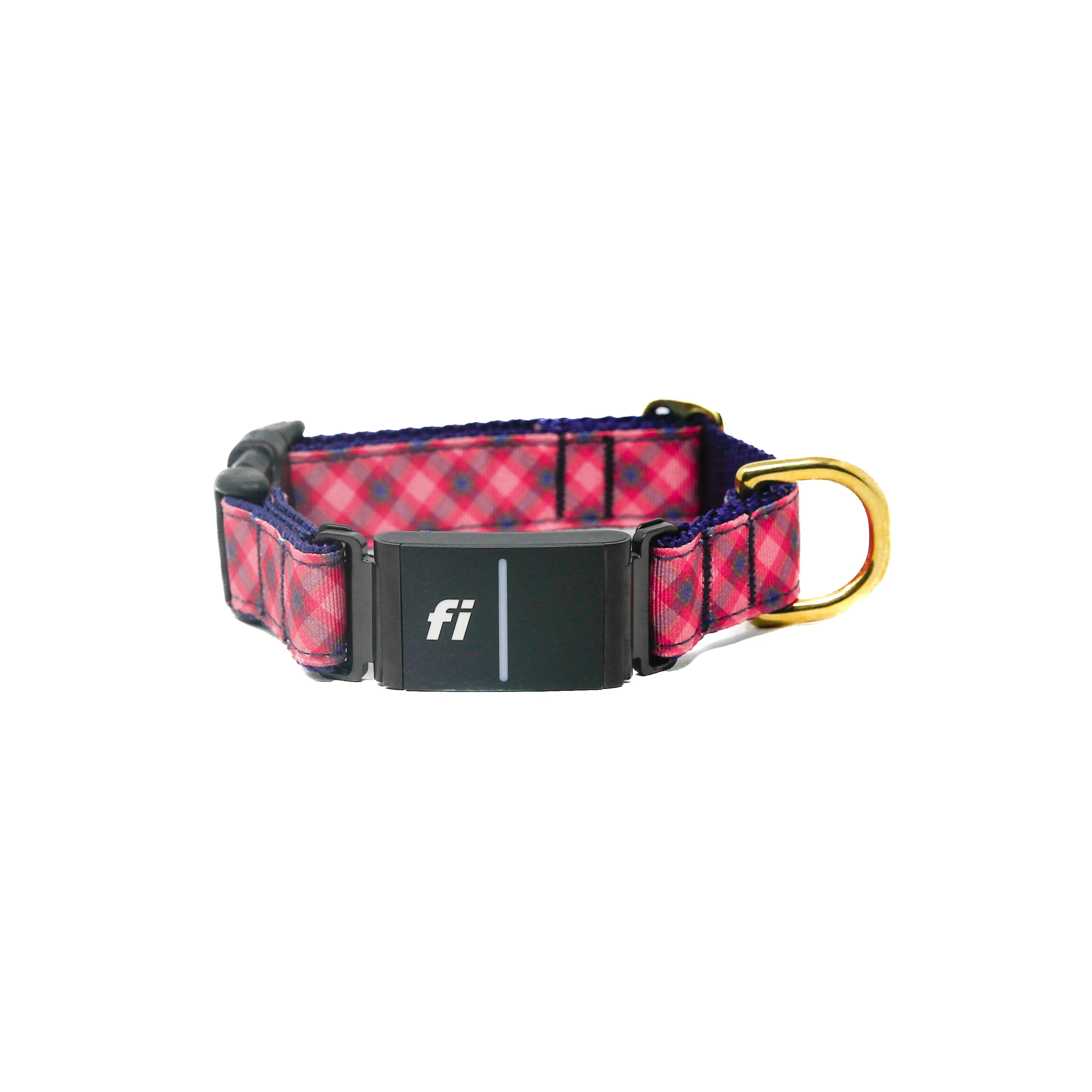 Fi Collar Band - Fall Harvest