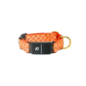 Fi Collar Band - Golden Harvest