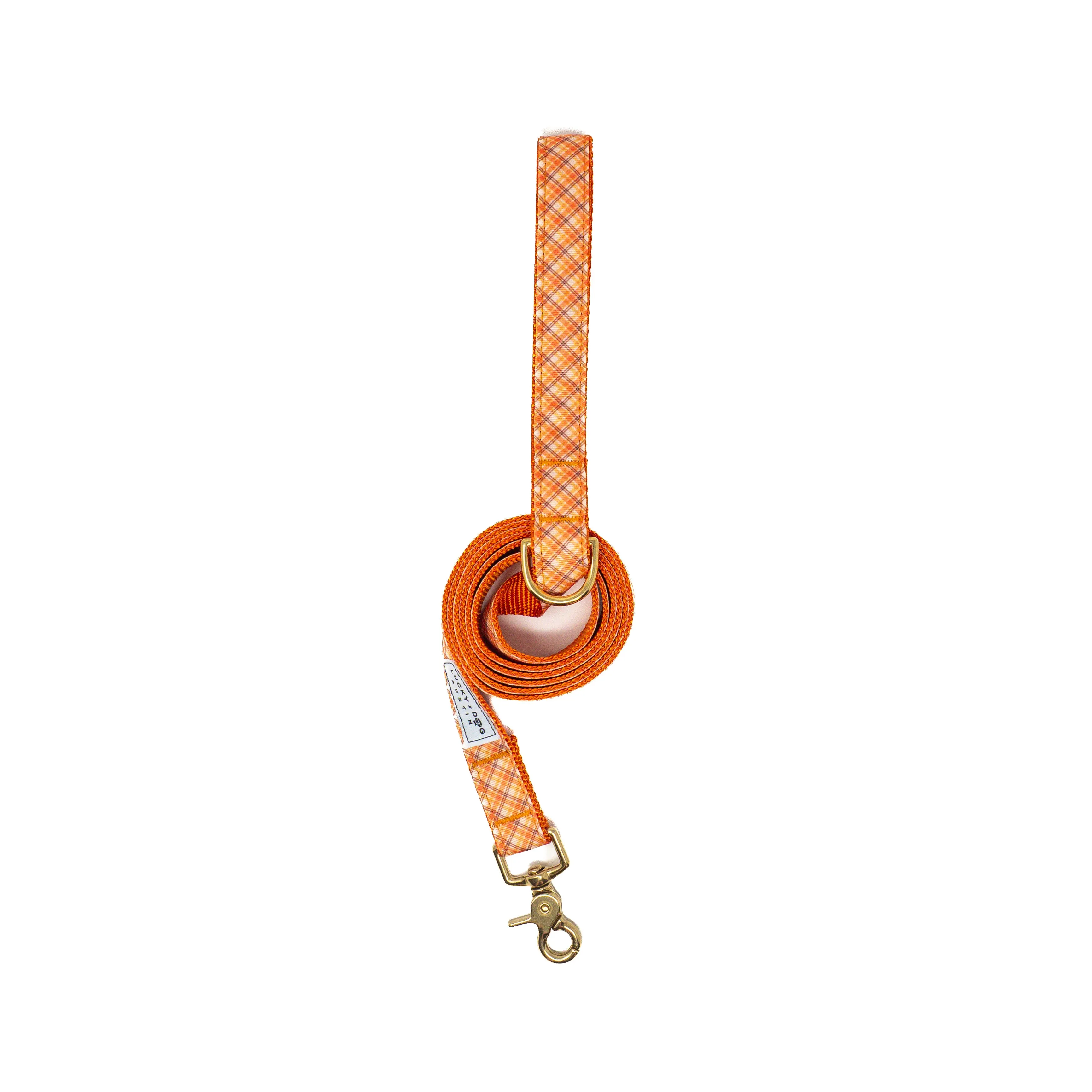 Fi Collar Band - Golden Harvest