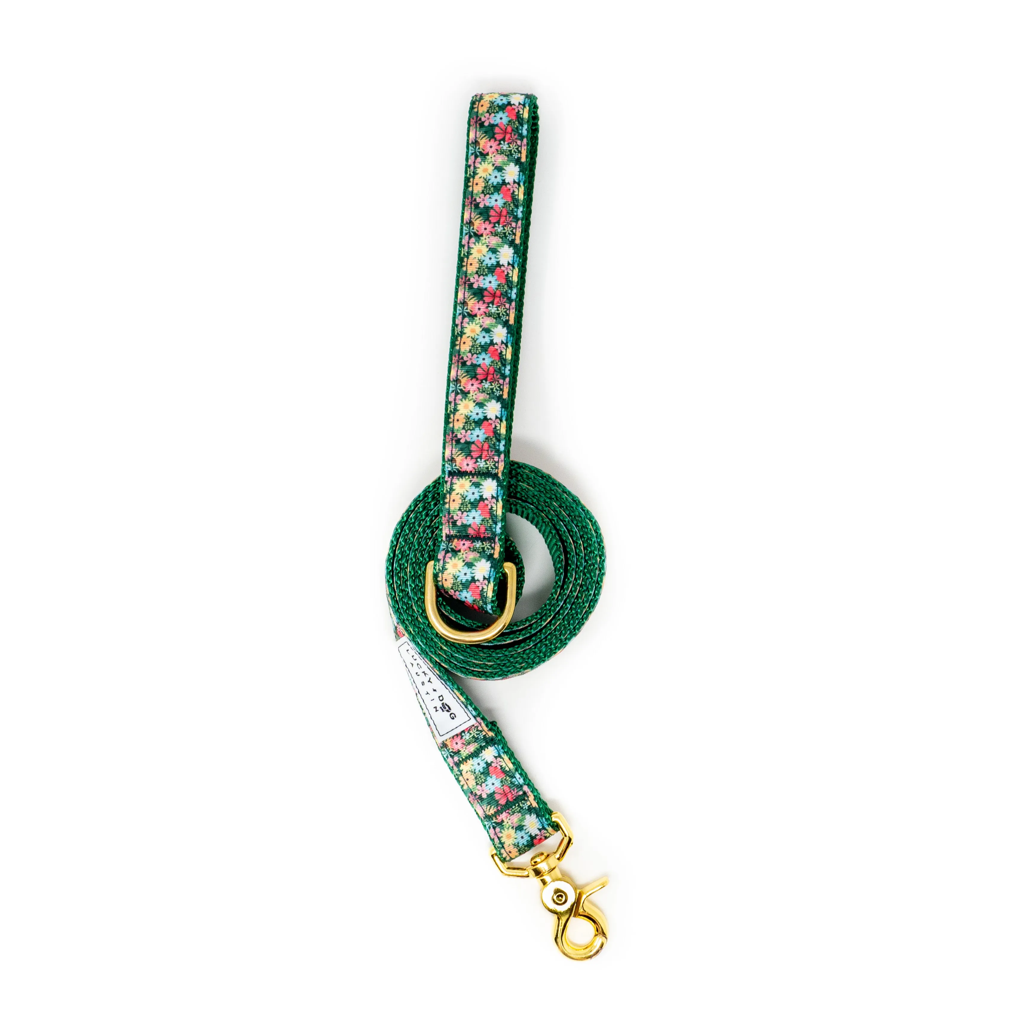 Fi Collar Band - Petal Pop