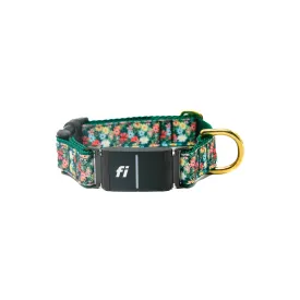 Fi Collar Band - Petal Pop