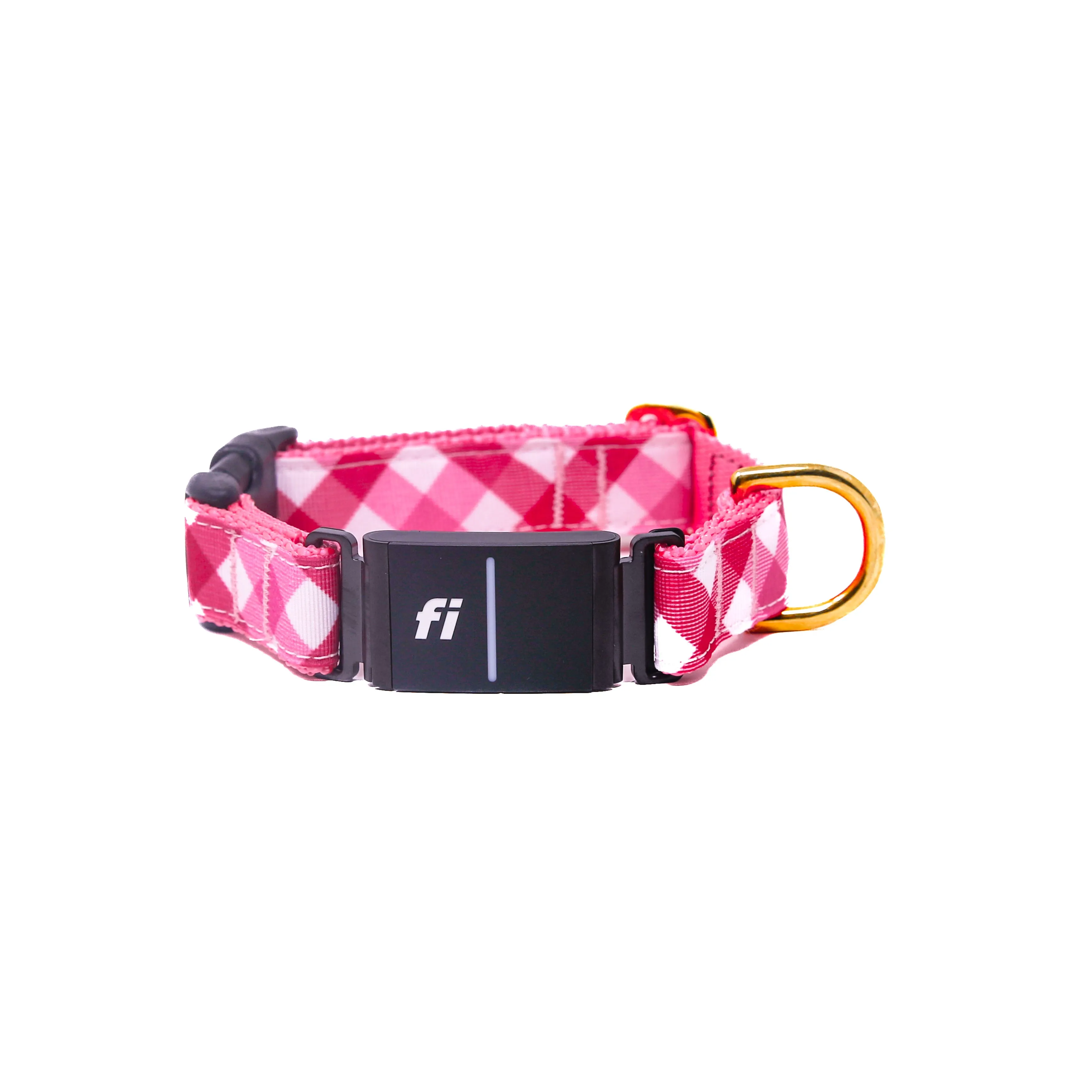 Fi Collar Band - Valentine Check