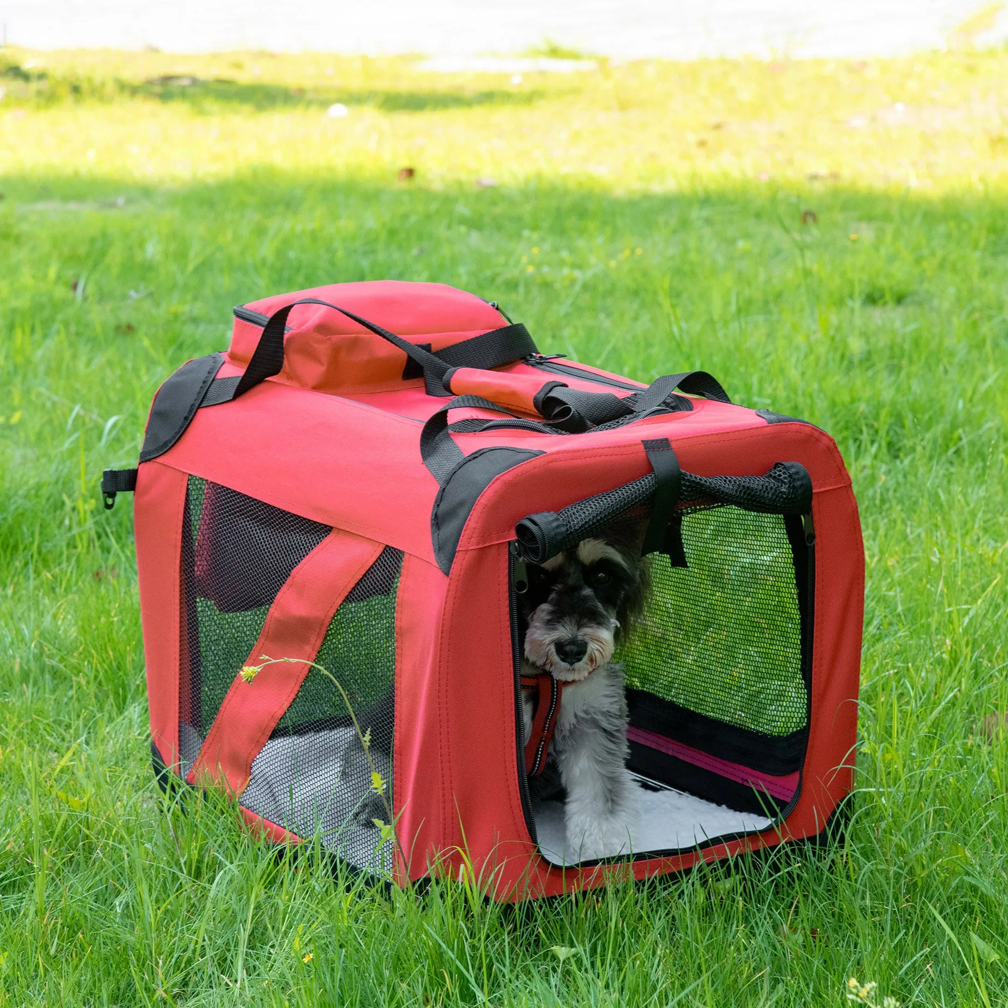Foldable Pet Carrier for Small and Miniature Dogs, Portable Cat Carrier Soft Side Pet Travel Crate with Removable Mat, Storage Bags, Breathable Mesh Window 60 x 42 x 42cm - Red