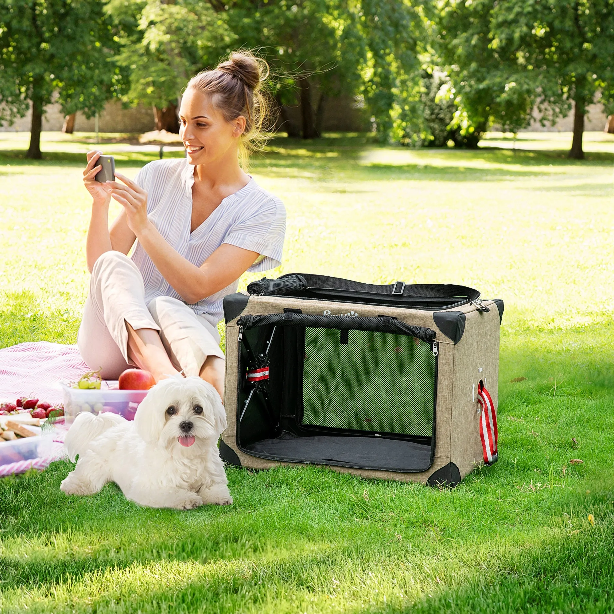 Foldable Pet Carrier, with Cushion, for Small Dogs and Cats
