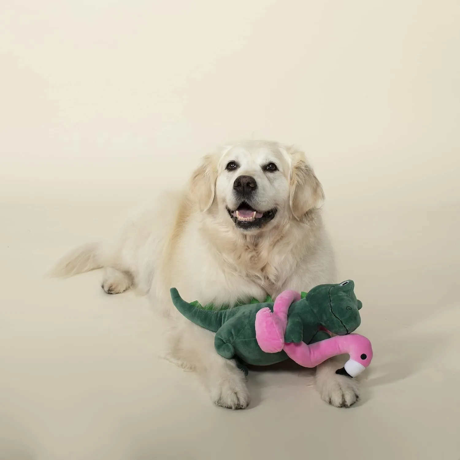 Fringe Studio Squeaker Large Plush Pet Toy, T-Rex (728003), Green, Flamingo Fun