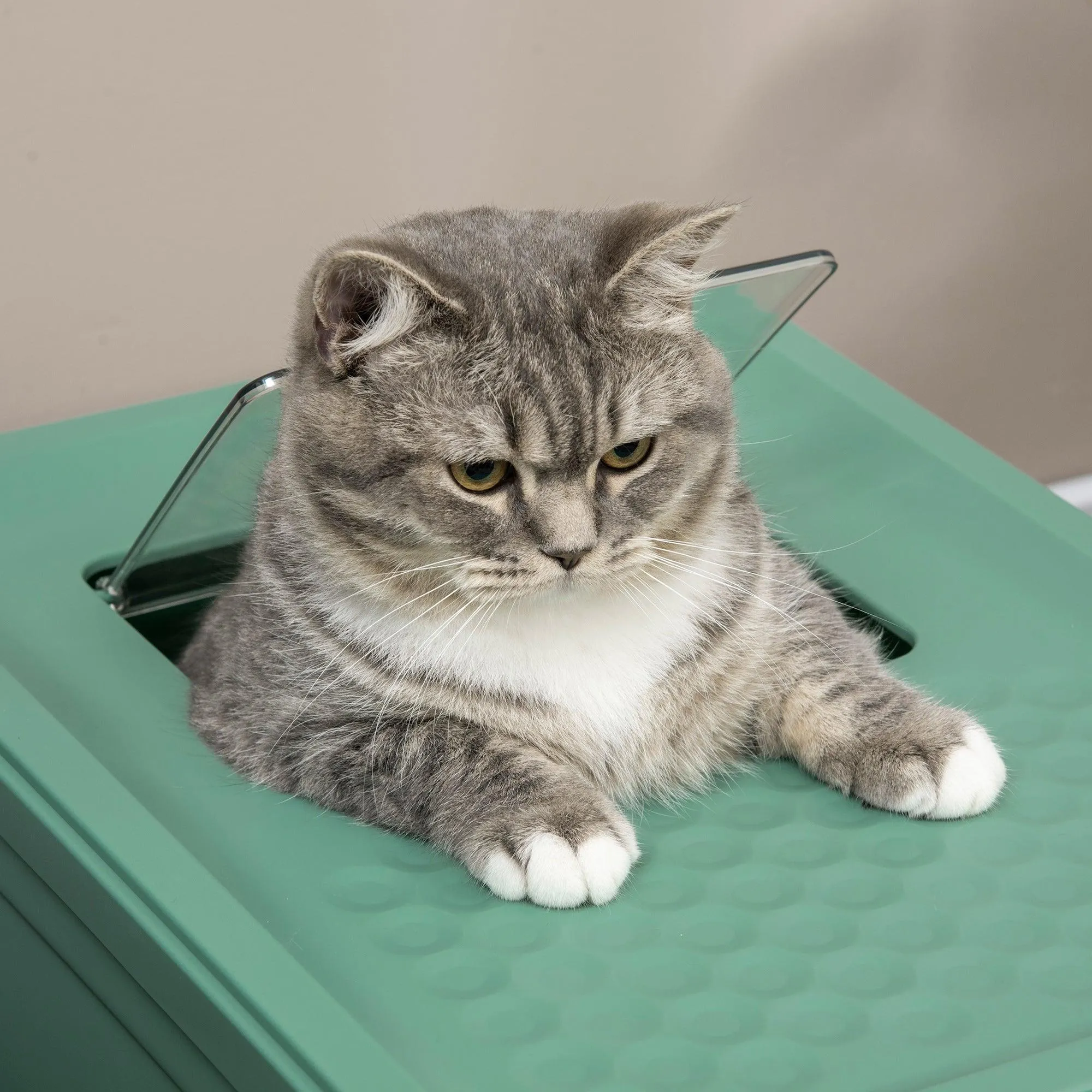 Hooded Cat Litter Box with Scoop, Green & White