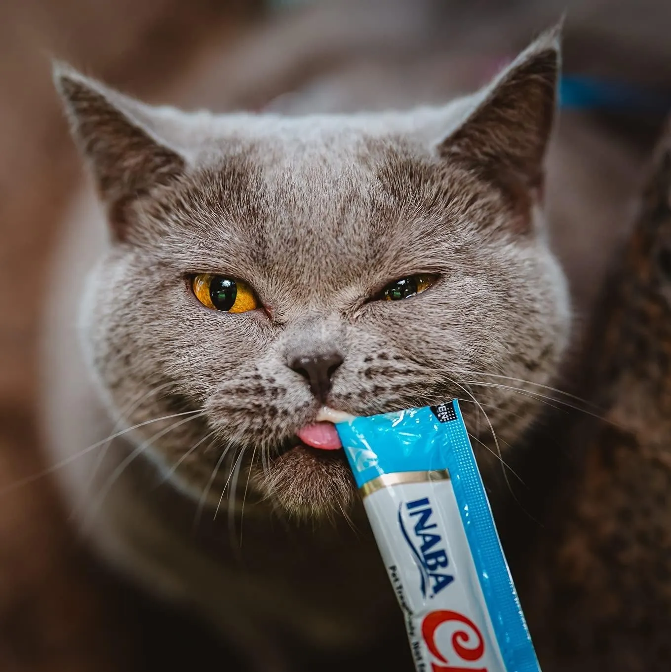 INABA Churu Cat Treats, Grain-Free, Lickable, Squeezable Creamy Pure Cat Treat/Topper with Vitamin E & Taurine, 0.5 Ounces Each Tube, 4 Tubes, Tuna with Salmon Recipe