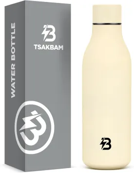 Insulated Metal Water Bottle, 18 oz Stainless Steel Leak-Proof Gym Water Bottle with Lid for Men Women (Beige)
