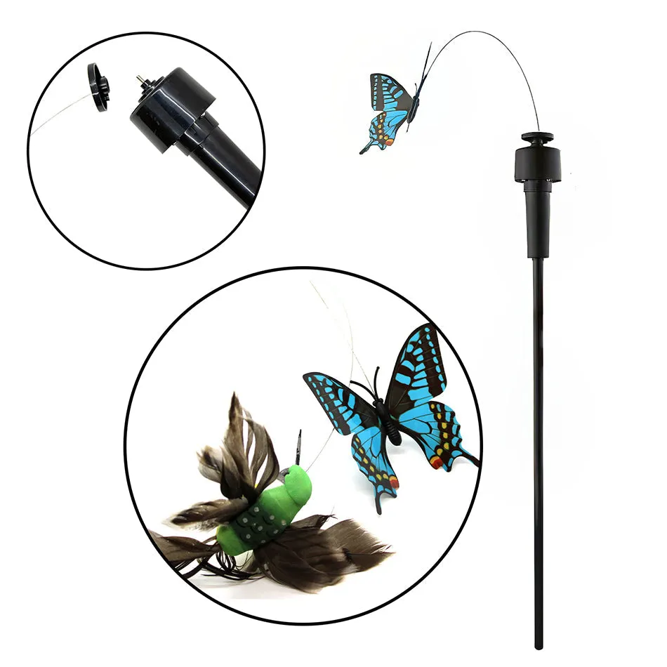 Interchangeable Motorized Teaser