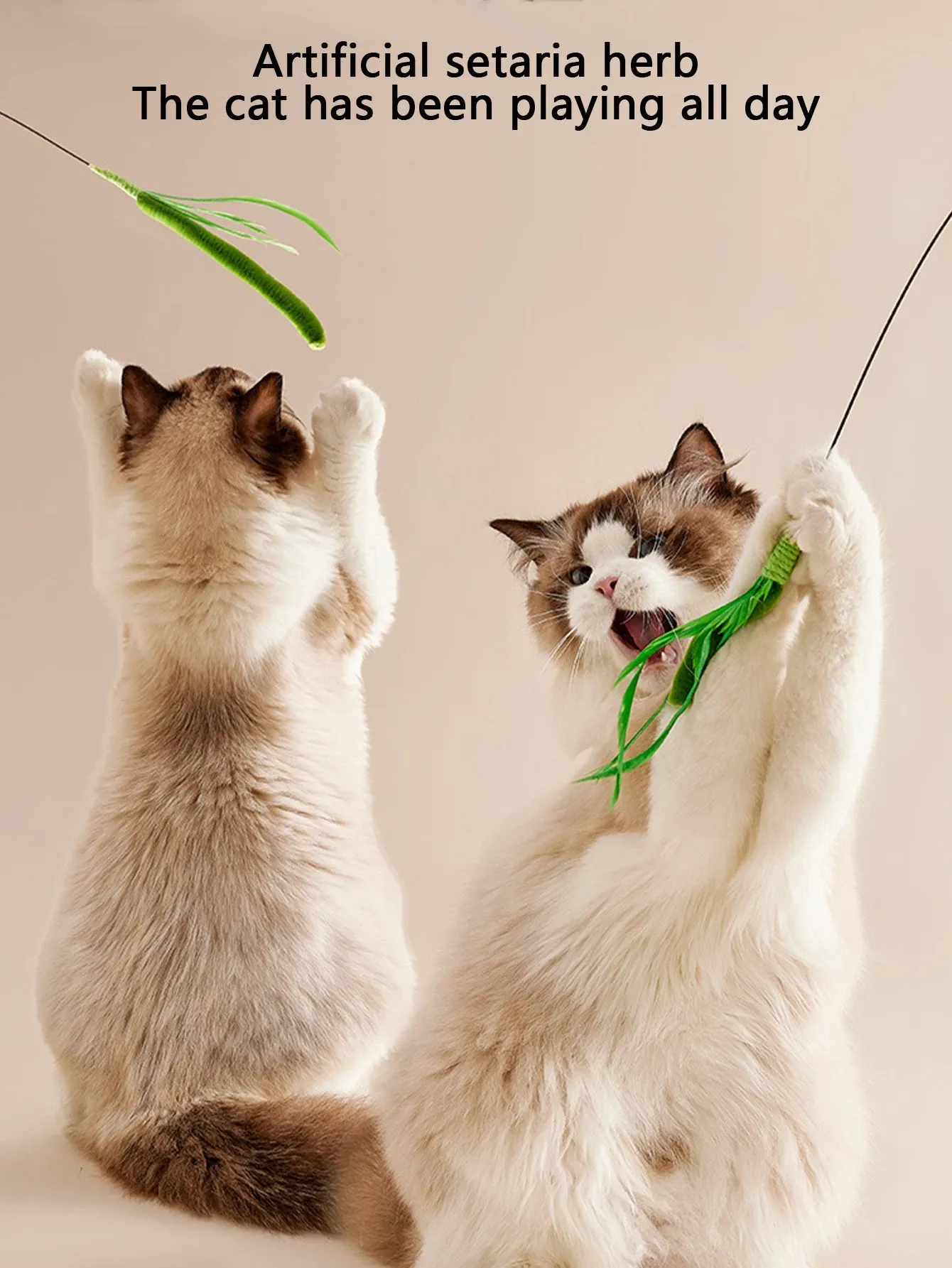 Kimpets Long Pole Feather Teaser Toy for Cats