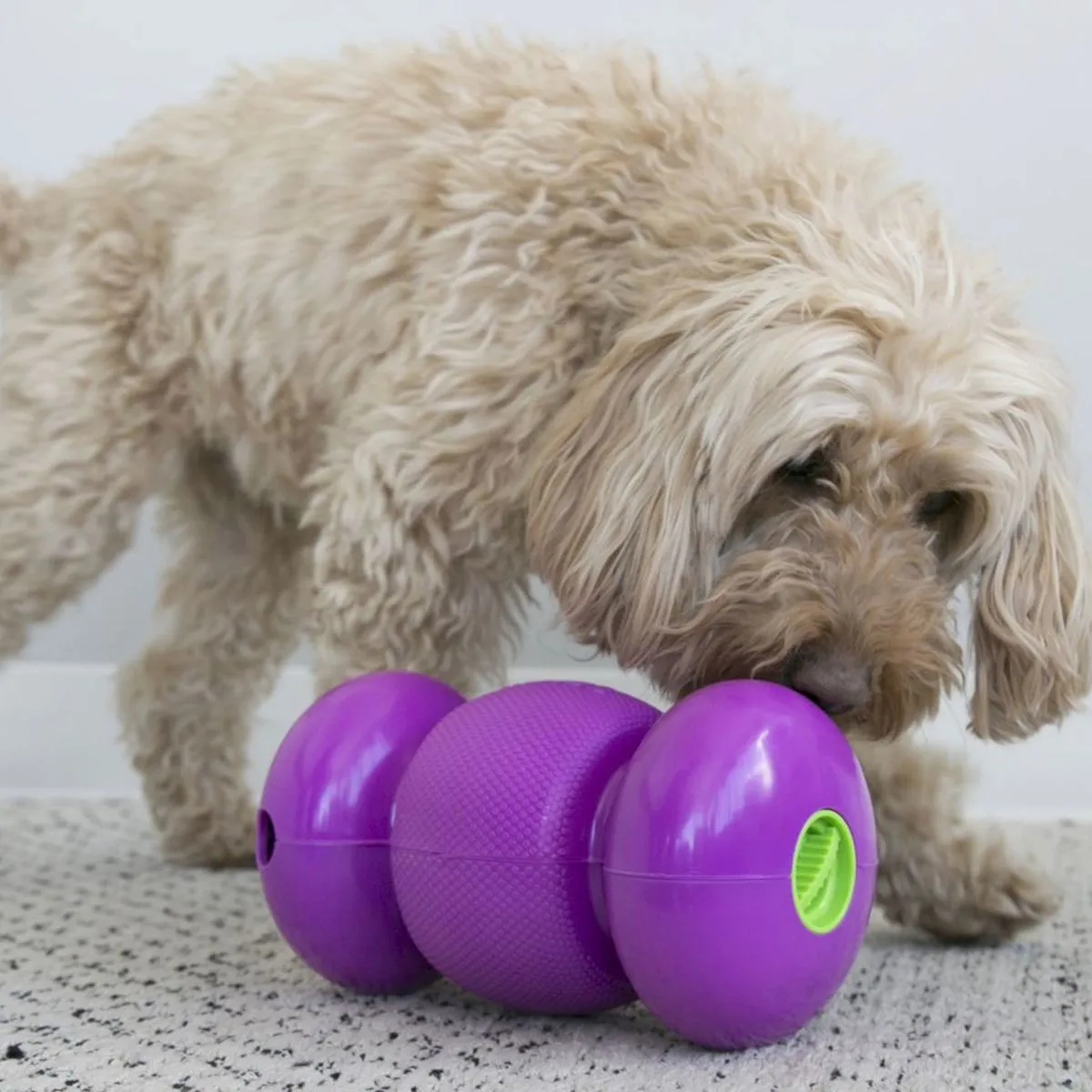 Kong® RePlay Treat Dispenser