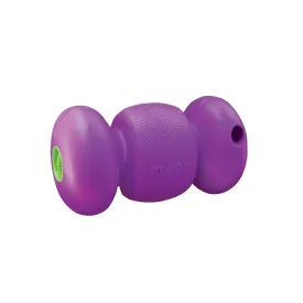 Kong® RePlay Treat Dispenser