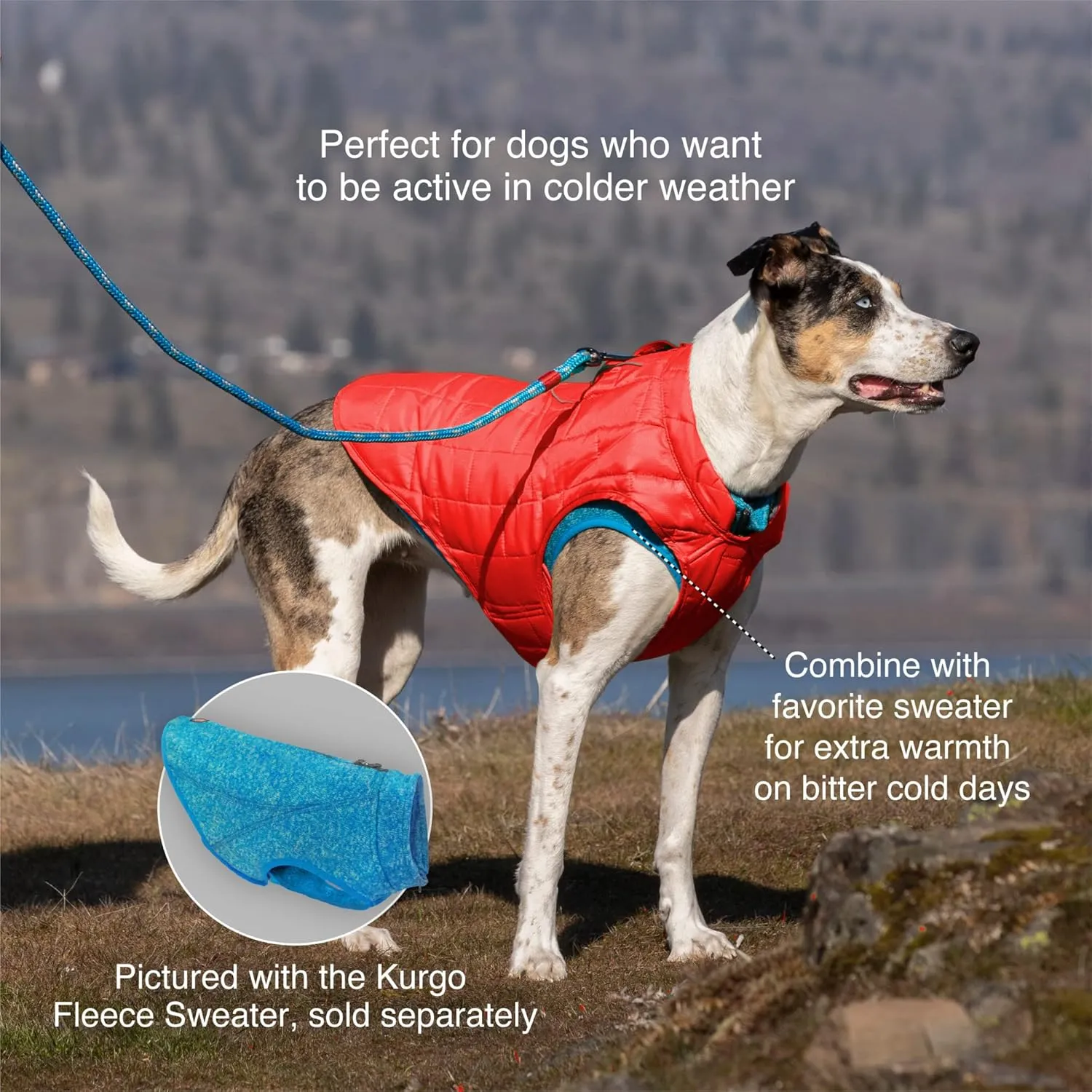 Kurgo Loft Dog Jacket, Reversible Dog Coat, Wear with Harness or Sweater, Water Resistant, Reflective, Winter Coat for Large Dogs (Ink Blue, L)
