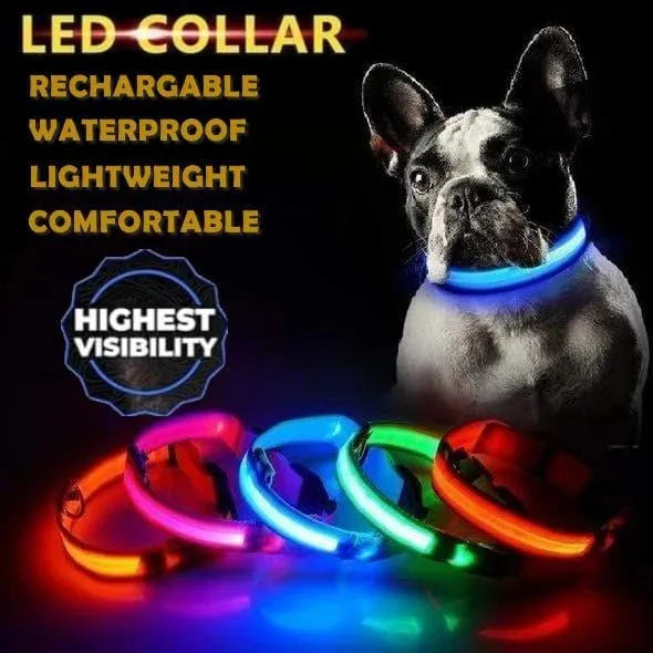 LED Rechargeable Adjustable Luminous Dog Collar for Small, Large, XX-Large Dogs for Better Visibility and Safety of Your Dogs in Dark. Available in 3 Sizes and 5 (Pink, XX-Large)