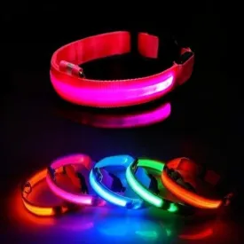 LED Rechargeable Adjustable Luminous Dog Collar for Small, Large, XX-Large Dogs for Better Visibility and Safety of Your Dogs in Dark. Available in 3 Sizes and 5 (Pink, XX-Large)