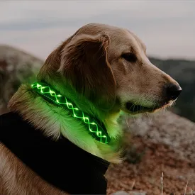 Luwint Stylish Light Up Dog Collar, LED Dog Collar USB Rechargeable - Safety Glow in The Dark for Night Walking & Camping | Adjustable, Waterproof, High Visibility Green