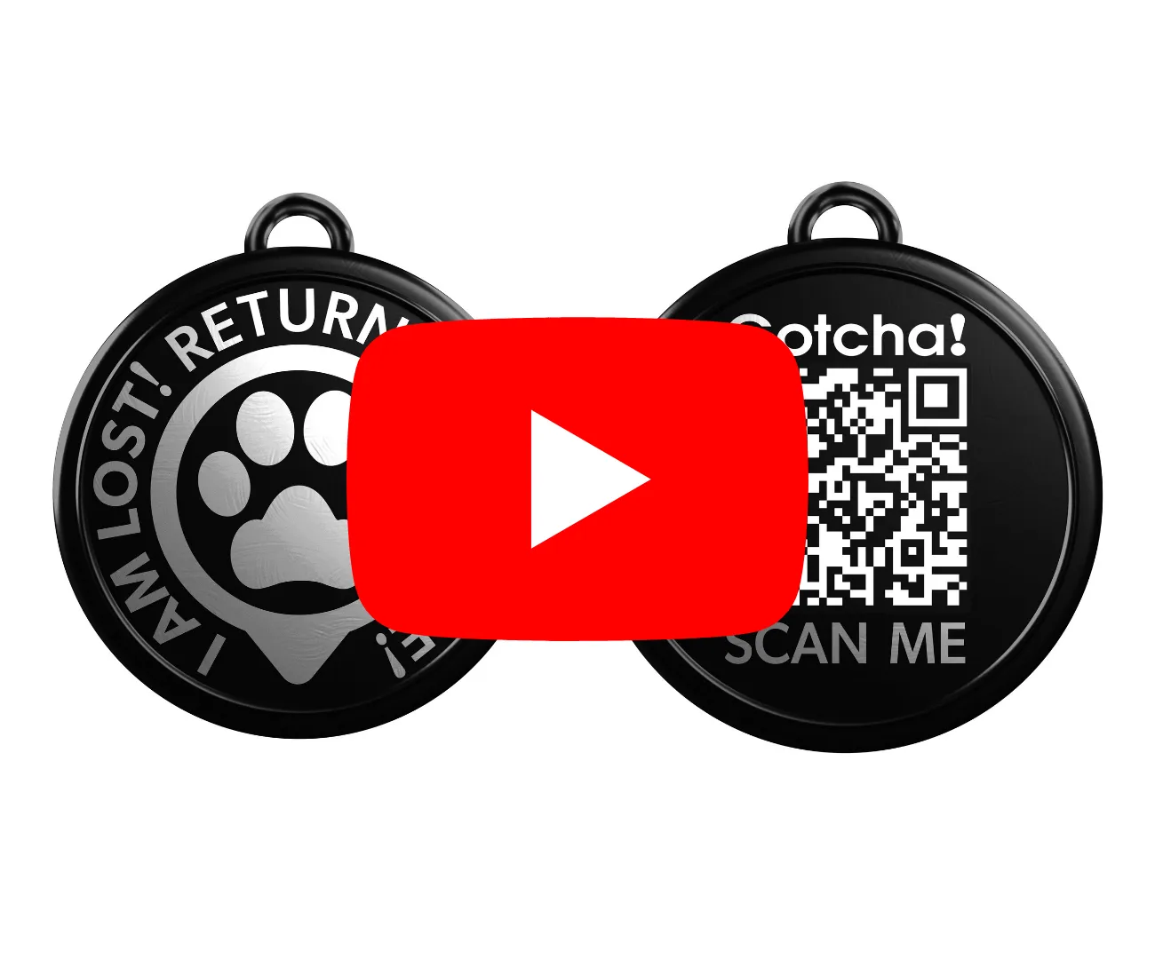 Max & Molly GOTCHA Tag