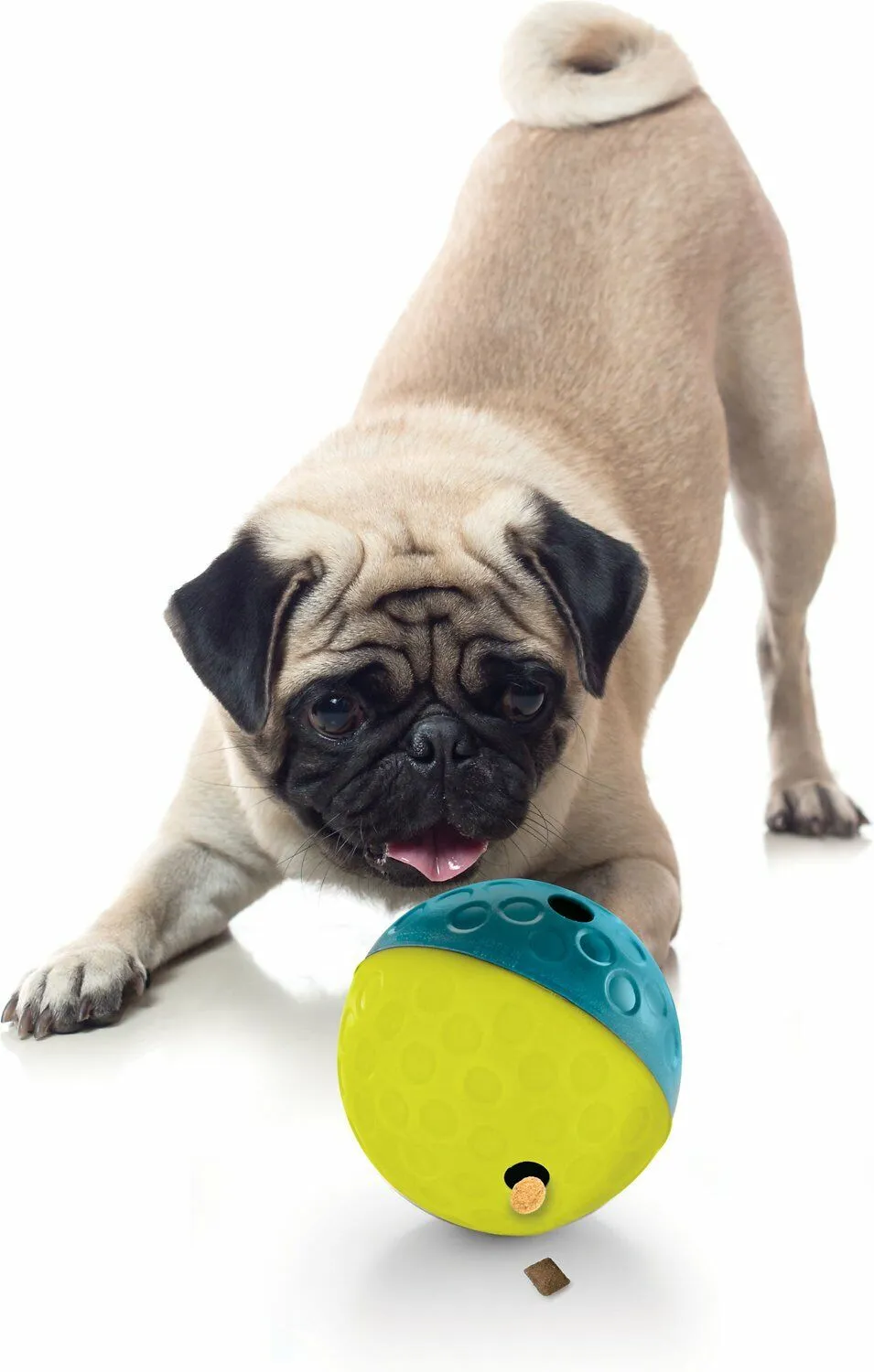 Nina Ottosson Treat Tumble Dog Toy Blue/Yellow