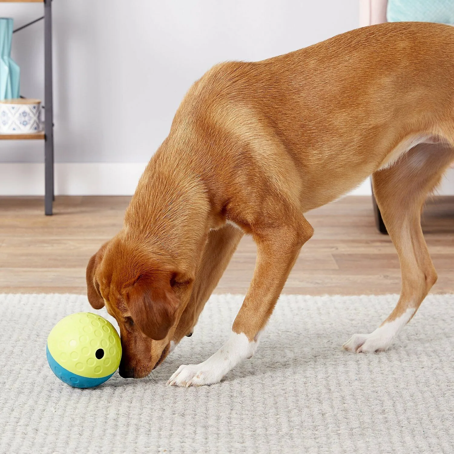 Nina Ottosson Treat Tumble Dog Toy Blue/Yellow