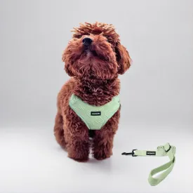No Pull Puppy Harness and Leash Set  No Choke Neoprene Dog Harness for Extra Small Dogs (515lbs)  Green(XS), Lightweight Breathable Mesh with Unique Heart Pattern, Adjustable Fit