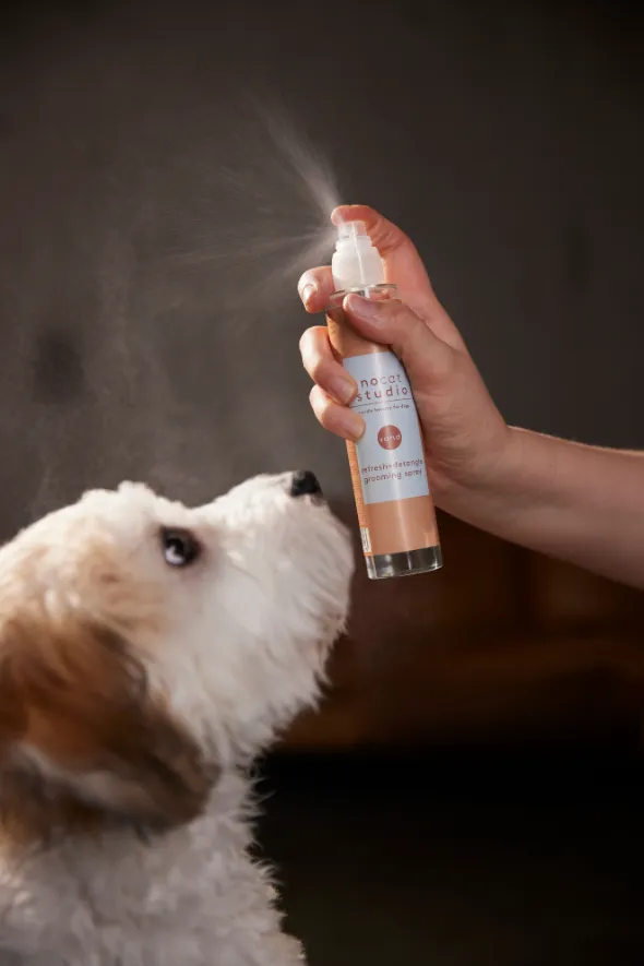 nocat studio travel size refresh detangle dog and cat grooming spray, VAND