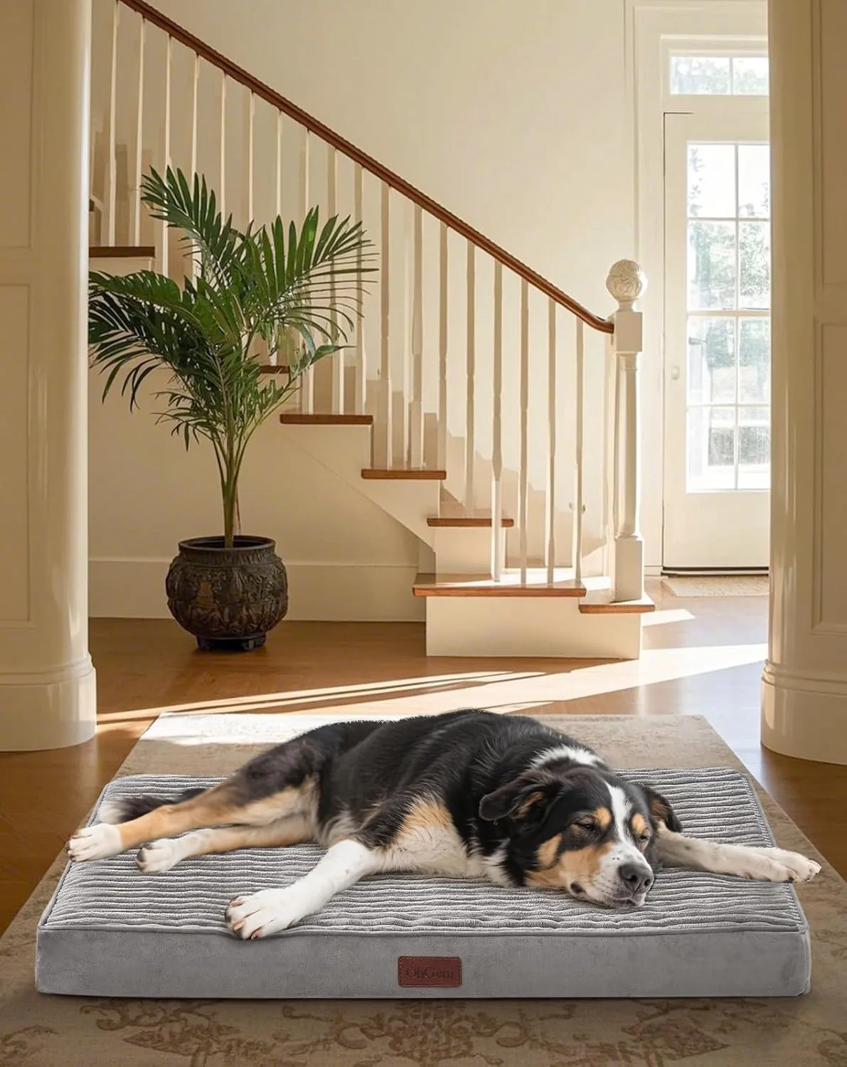 OhGeni Orthopedic Waterproof & Machine Washable Dog Bed for Medium Large Pets, Suitable for Crates, 25D Egg Crate Foam, Non-Slip Bottom & Removable Cover, Gifts for Dad, 35 Inches(Gray)