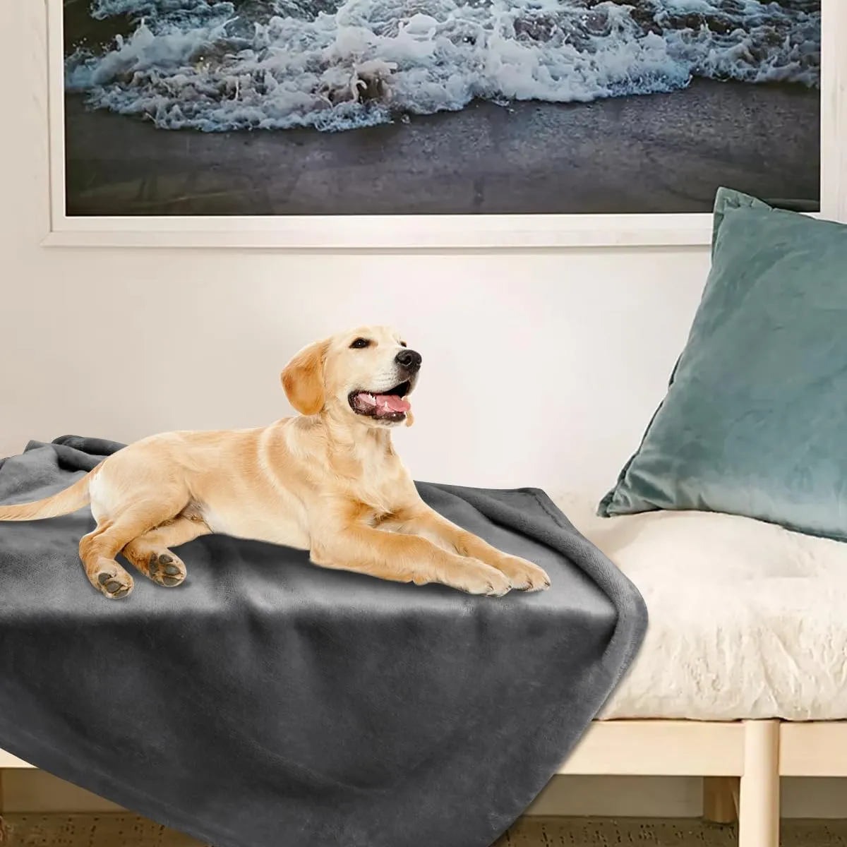 Onarway Dog Blanket Washable for Bed: 2 Packs Dog Blankets 40x47 - Fluffy Soft Large Throw for Cat Puppy Kitten Dogs - Fleece Pet Blankets for Crate Couch Car and Indoor - Grey